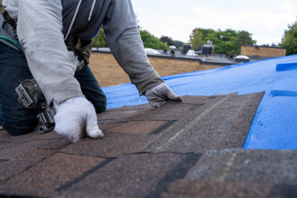 Best Residential Roofing Contractor  in Coleman, MI
