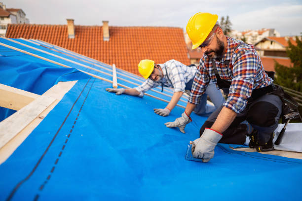 Best Roof Waterproofing Services  in Coleman, MI