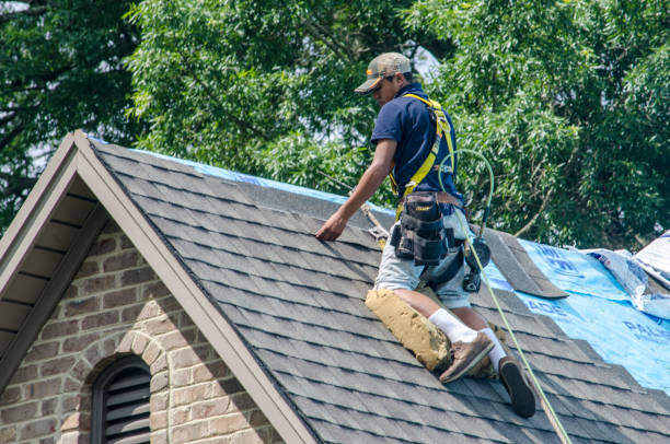 Best Best Roofing Contractors  in Coleman, MI